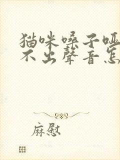 猫咪嗓子哑了叫不出声音怎么办