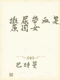 撒尿带血是什么原因女