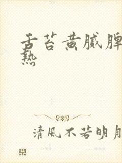 舌苔黄腻脾胃湿热