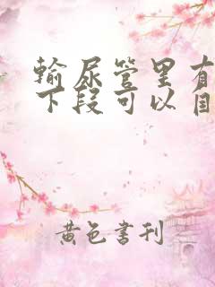 输尿管里有结石下段可以自行排出吗