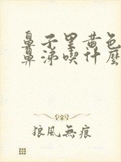 鼻子里黄色粘稠鼻涕吃什么药