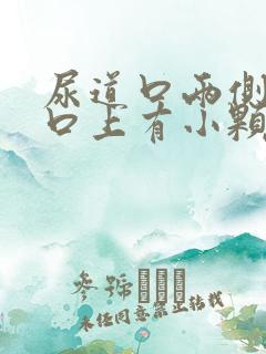 尿道口两侧阴道口上有小颗粒