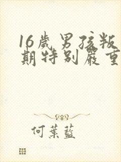 16岁男孩叛逆期特别严重怎么办懒