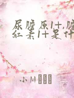 尿胆原1+,胆红素1+是什么意思