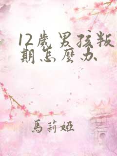 12岁男孩叛逆期怎么办