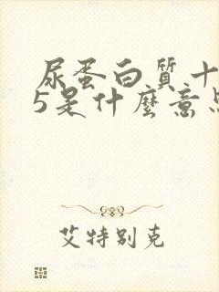 尿蛋白质十一15是什么意思