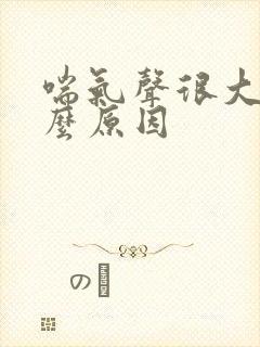 喘气声很大是什么原因