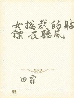 女总裁的贴身保镖 夜听风