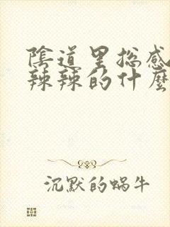 阴道里总感觉火辣辣的什么原因