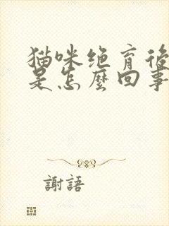 猫咪绝育后乱尿是怎么回事