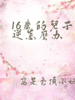 16岁的儿子叛逆怎么办