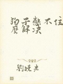 狗子憋不住尿怎么解决