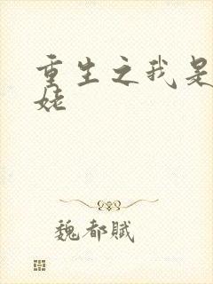 重生之我是刘姥姥