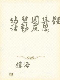 幼儿园集体教学活动反思