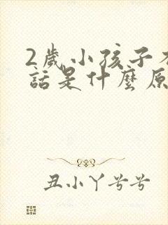 2岁小孩子不说话是什么原因