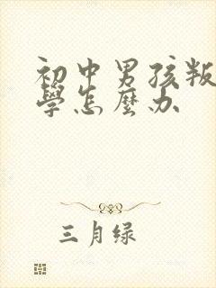 初中男孩叛逆厌学怎么办