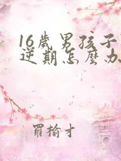 16岁男孩子叛逆期怎么办