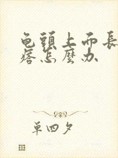 龟头上面长小疙瘩怎么办