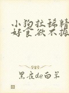 小狗拉稀精神不好食欲不振