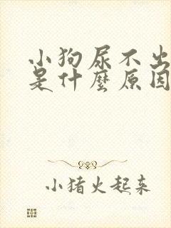 小狗尿不出来尿是什么原因