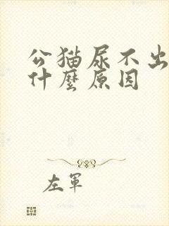 公猫尿不出来尿什么原因