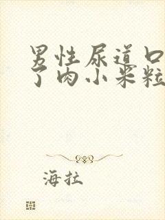 男性尿道口上长了肉小米粒