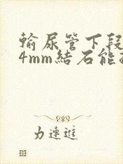 输尿管下段0.4mm结石能排出吗