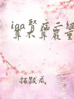 iga肾病二级算不算严重可以治好吗