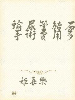 输尿管结石软镜手术费用多少