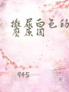 撒尿白色的是什么原因