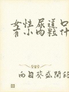 女性尿道口上面有小肉粒什么情况