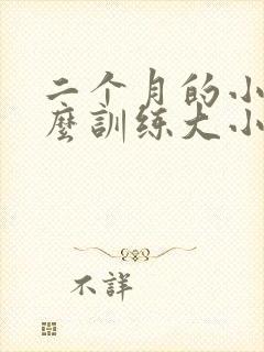 二个月的小狗怎么训练大小便