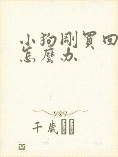 小狗刚买回来吐怎么办