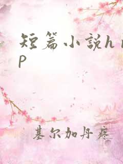短篇小说h np