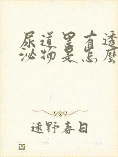 尿道里有透明分泌物是怎么回事