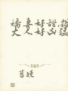 娇妻好甜,总裁大人好凶猛小说