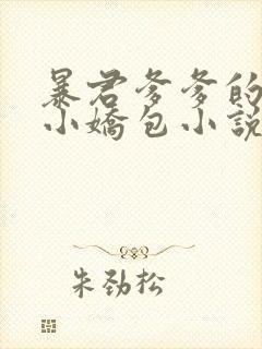 暴君爹爹的团宠小娇包小说阅读