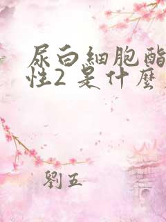 尿白细胞酯酶阴性2 是什么原因