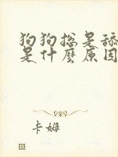 狗狗总是舔蛋蛋是什么原因