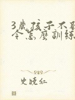 3岁孩子不听指令怎么训练