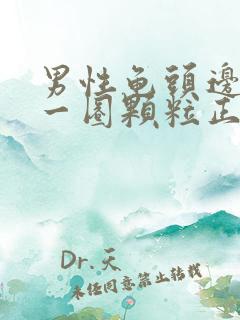 男性龟头边缘有一圈颗粒正常吗