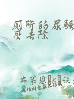 厕所的尿骚味怎么去除