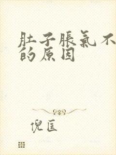 肚子胀气不消化的原因