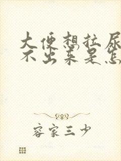 大便想拉尿又拉不出来是怎么回事