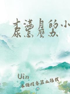 才满月的小狗乱尿怎么办