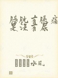 膀胱有胀痛感但是没有尿