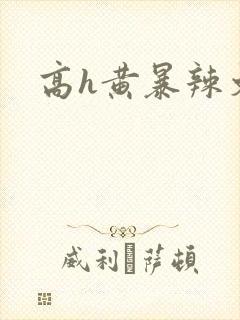 高h黄暴辣文