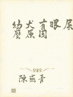 幼犬有眼屎是什么原因