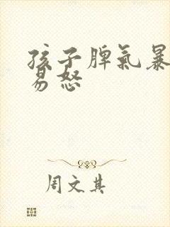 孩子脾气暴躁,易怒