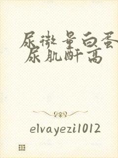 尿微量白蛋白高 尿肌酐高